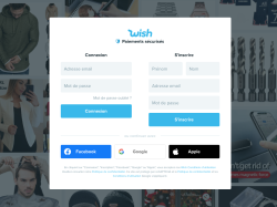 Protection des consommateurs en ligne : la plateforme Wish sera déréférencée