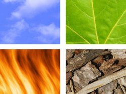 Opération 1.2.3 Environnement : 38 entreprises régionales s'engagent pour l'Environnement