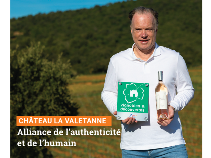 Petites Affiches VAR (…)