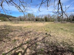 Neyrat Immobilier cultive son engagement durable avec un potager d'entreprise au Thoronet