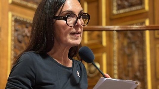 Questions écrites au Gouvernement : Patricia Demas propose de créer un « homicide incendiaire » et d'encadrer la communication de crise