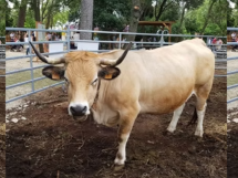 9ème édition du Salon des Agricultures de Provence