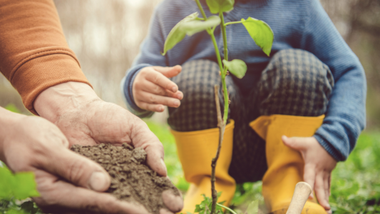 Carros : les enfants participent au reboisement de la forêt des Rougières