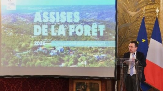 La feuille de route pour la forêt des Alpes-Maritimes présentée ce vendredi