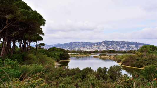 La municipalité de Cannes primée pour ses initiatives de gestion des déchets sur l'île Sainte-Marguerite
