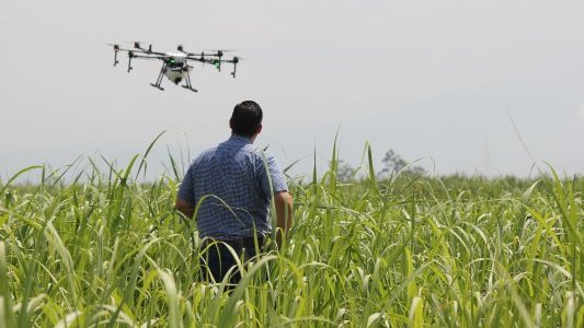 Technologies : les paysans de plus en plus appelés à se transformer en agrinautes