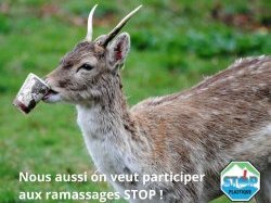 Le 10 septembre, participez au nettoyage des rives du Loup pour réduire la pollution plastique