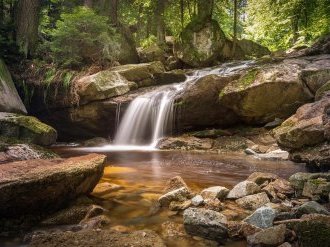 L'appel à projets "Eau et biodiversité 2021" de l'agence de l'eau est lancé