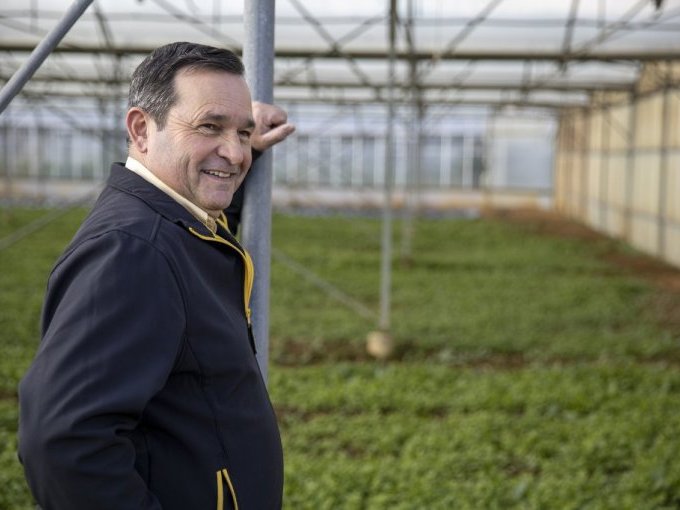 Tribune Max Bauer : « (…)