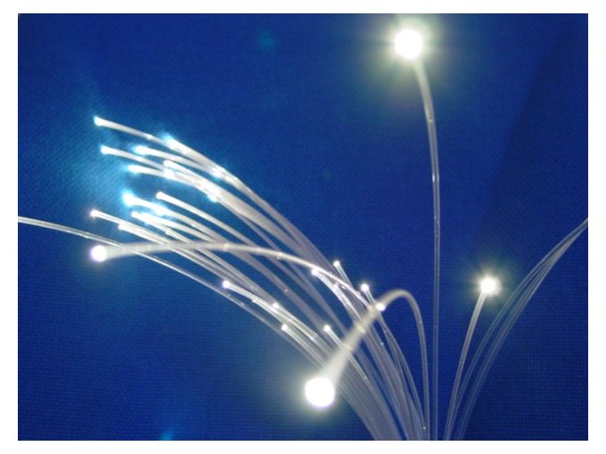 La fibre à Cannes