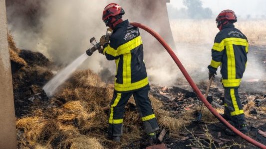 Georgia Lambertin : « L'agriculture est le premier allié contre les incendies »