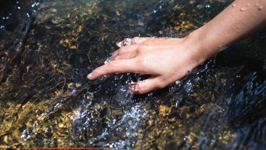 Trophées de l'Eau 2026 : 20 000 euros pour récompenser les projets innovants dans les Alpes-Maritimes