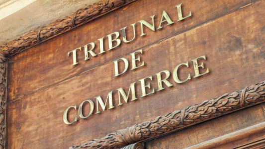 Expérimentation : douze tribunaux des activités économiques à partir du 1er janvier 2025