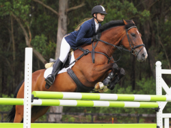 42e édition du Jumping International : La Mairie de Cannes offre des places aux Cannois 