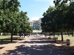 Antibes cultive son identité de ville-jardin méditerranéen