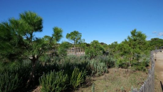 À Six-Fours-les-Plages, une renaissance du Gaou grâce à la Région Sud