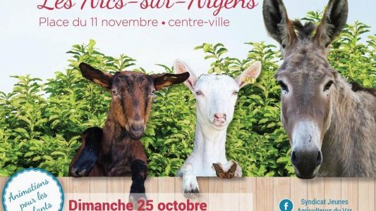 Tous à la ferme, une journée d'animation rurale