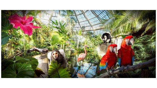 Parc Phoenix, fréquentation au top