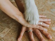 Marie-Cécile Lasserre : « Le droit de l'animal n'est pas en avance », mais les lignes bougent