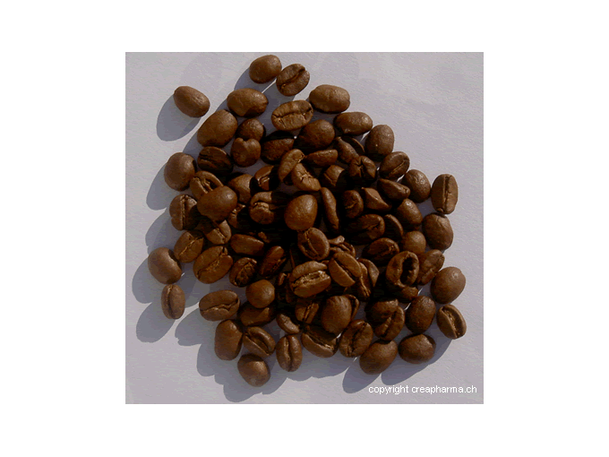 Café : la guerre en (…)