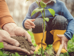 Carros : les enfants participent au reboisement de la forêt des Rougières