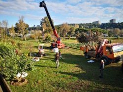 Un verger municipal pour alimenter les cantines scolaires à Villeneuve Loubet !