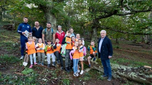 Au Lavandou, les écoliers découvrent la vie d'une châtaigneraie