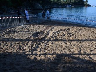 À Saint-Raphaël, première ponte d'une tortue marine de la saison sur la Côte d'Azur