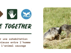 La Caisse d'Épargne Côte d'Azur finance un projet éducatif sur la biodiversité porté par LIVE TOGETHER