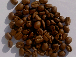 Café : la guerre en capsules 