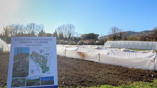 L'école de maraichage bio de Cannes : l'art de cultiver des produits sains sur de petites surfaces