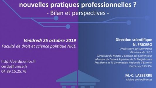 Colloque CERDP : Nouvelles procédures civiles, nouvelles pratiques professionnelles ? Bilan et perspectives