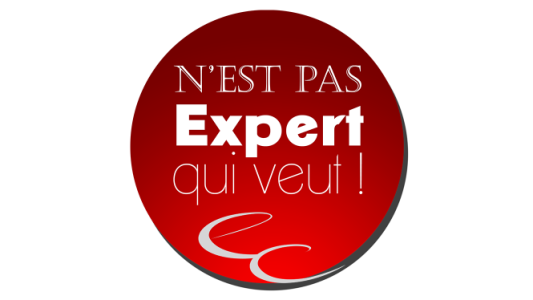 Les experts-comptables en guerre contre l'exercice illégal