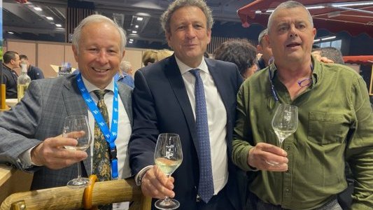 Olivier Roux, l'excellence du terroir varois