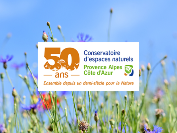 Renouvellement pour (…)