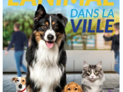 Nice accueille le 1er colloque national l'« Animal dans la ville »