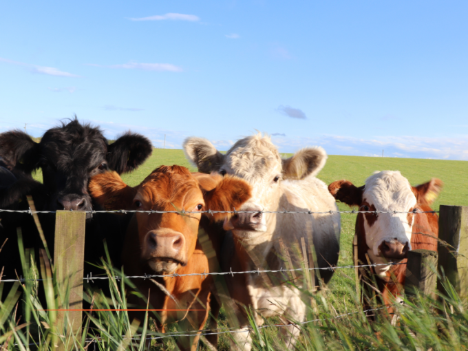 L'essentiel de l'actualit