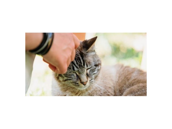 Virbac démarre 2026 (…)