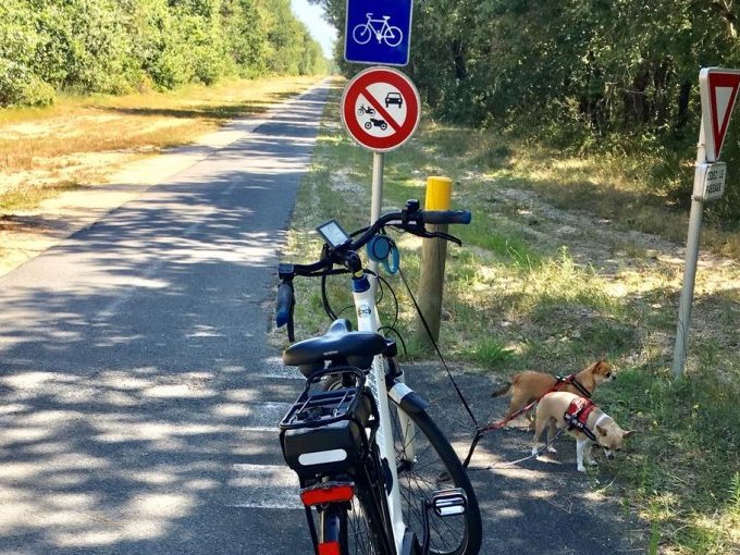 En région Sud, les touris