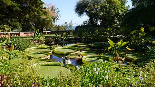 Le Festival des jardins fleurit dans tout le département