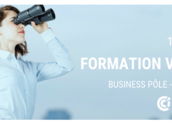 Formation CCI NCA : "Faire de la veille comme les grandes entreprises... C'est possible !" le 13 mars