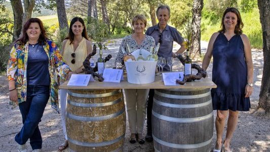 Dans le Var, il était une fois le Château du Pas du Cerf... 