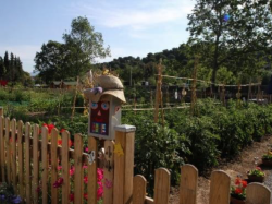  À Cannes les jardins familiaux fleurissent par dizaine au printemps !