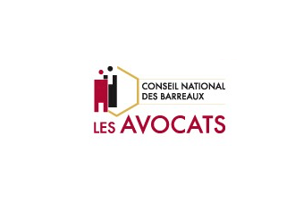 Délocalisation des audiences au sein de la zone d'attente de l'aéroport de Roissy CDG : le CNB interpelle la ministre de la Justice