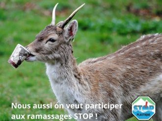 Le 10 septembre, participez au nettoyage des rives du Loup pour réduire la pollution plastique