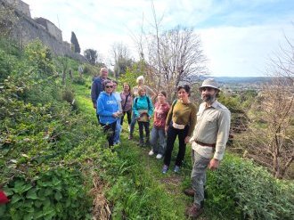 Saint-Paul-de-Vence : Une forêt au pied des remparts