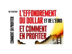 Livre : L'Effondrement du dollar et de l'Euro et comment en profiter