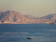 L'essentiel de l'actualité de ce mercredi 4 mars