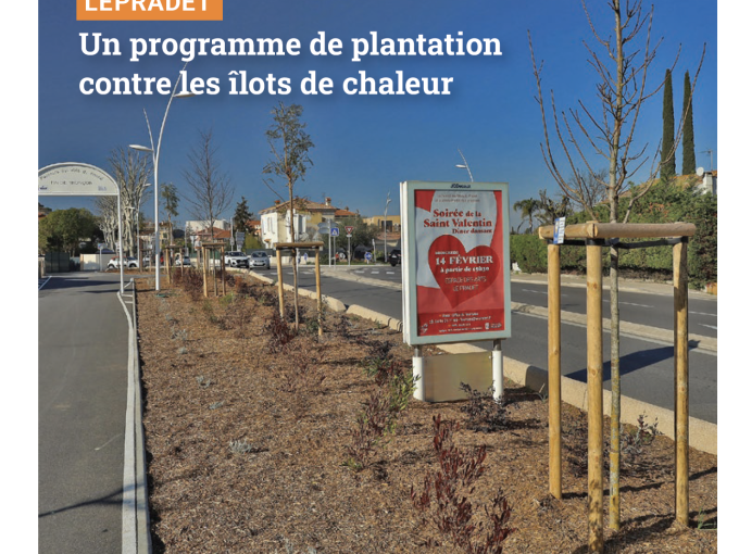 Petites Affiches VAR (…)