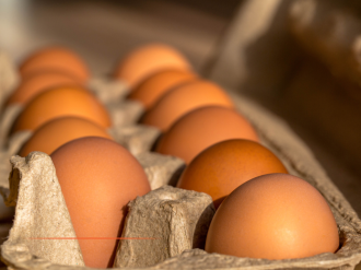 Vos échos juridiques hebdomadaires